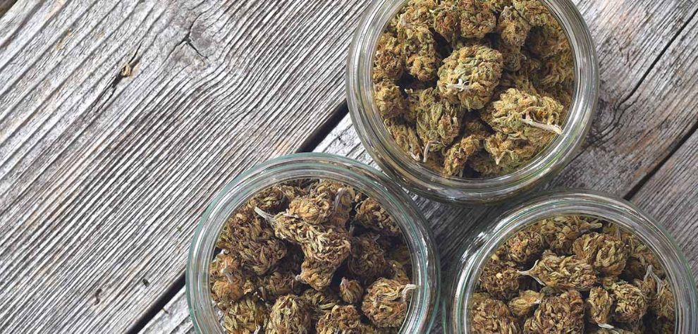 If you are looking for convincing reasons to buy Bud online in Canada​, don't skip this section—you might just want to order weed online in our online dispensary once you're done with it!