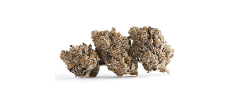 Many people looking to buy cheap canna are always looking to save a few bucks on their budget but still want to experience all the benefits of premium weed. 