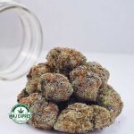 Buy Cannabis Pink Cotton Candy AAAA at MMJ Express Online Shop