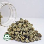 Buy Cannabis Astro Berries AAAA (Popcorn Nugs) at MMJ Express Online Shop