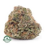 Buy Cannabis Banana Punch AAAA MMJ Express Online Shop