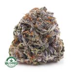 Buy Cannabis Granddaddy Purple AAAA at MMJ Express Online Shop