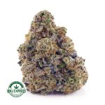 Buy Cannabis Miracle Alien Cookies Craft, AAAA+ at MMJ Express Online Shop