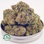 Buy Cannabis Miracle Alien Cookies Craft, AAAA+ at MMJ Express Online Shop