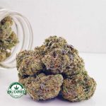 Buy Cannabis Miracle Alien Cookies Craft, AAAA+ at MMJ Express Online Shop