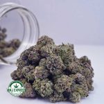 Buy Cannabis Pink Champagne AAAA (Popcorn Nugs) MMJ Express Online Shop