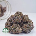 Buy Cannabis Granddaddy Purple AAAA at MMJ Express Online Shop