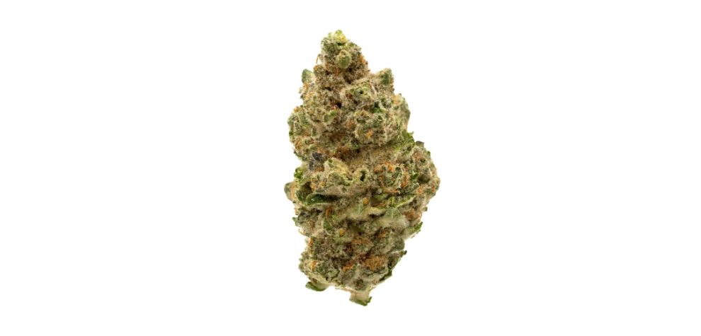 Many stoners have reported Durban Poison to have a pleasant, sweet, fruity scent with hints of cream, herbs, and pine.