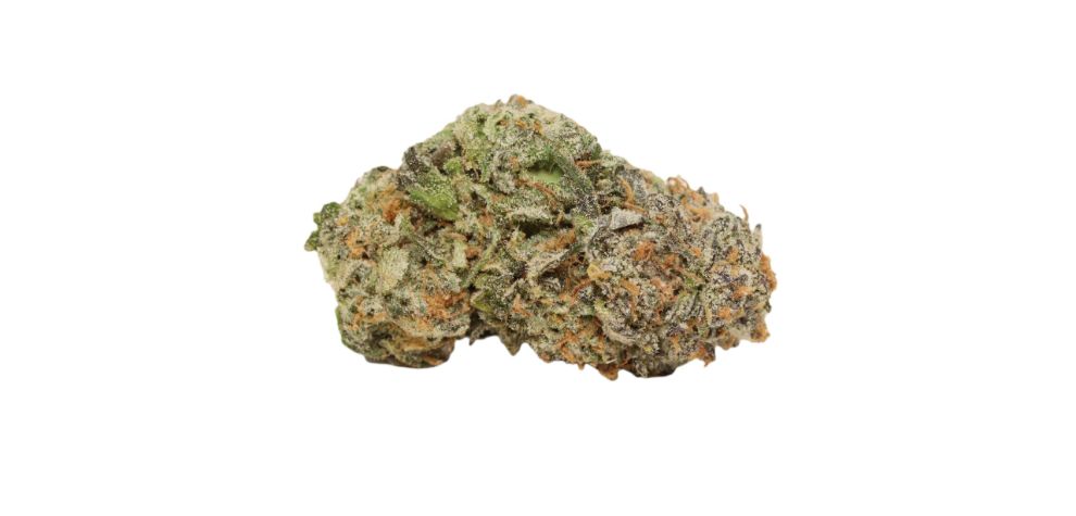 Durban Poison is an ultra-rare, pure sativa weed that is an inbred descendant of another sativa from South Africa.