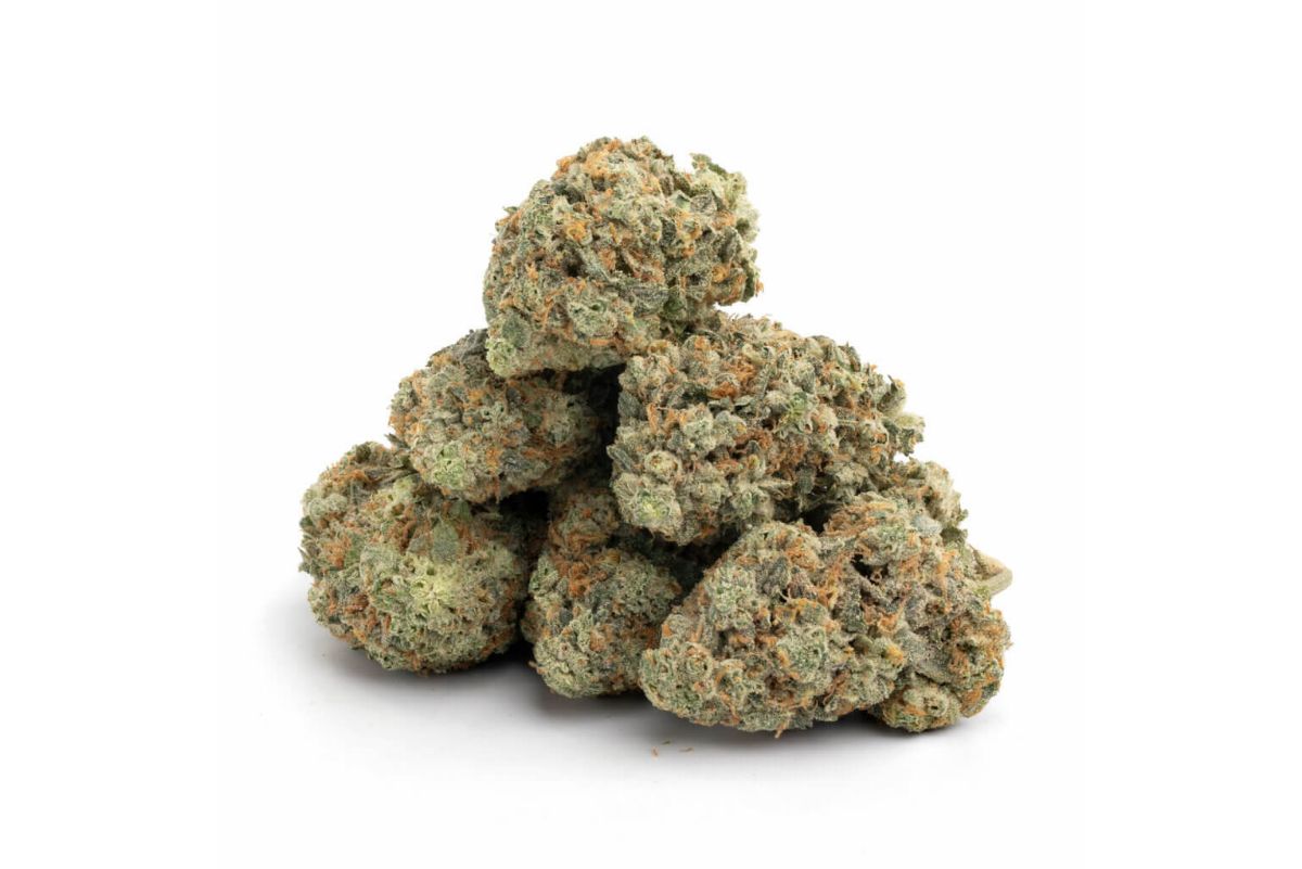 Explore Durban Poison, the legendary sativa with uplifting effects, creative bursts, and unique flavors. Discover the best place to buy it in Canada.