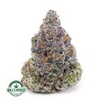 Buy Cannabis Khalifa Mints AAAA at MMJ Express Online Shop