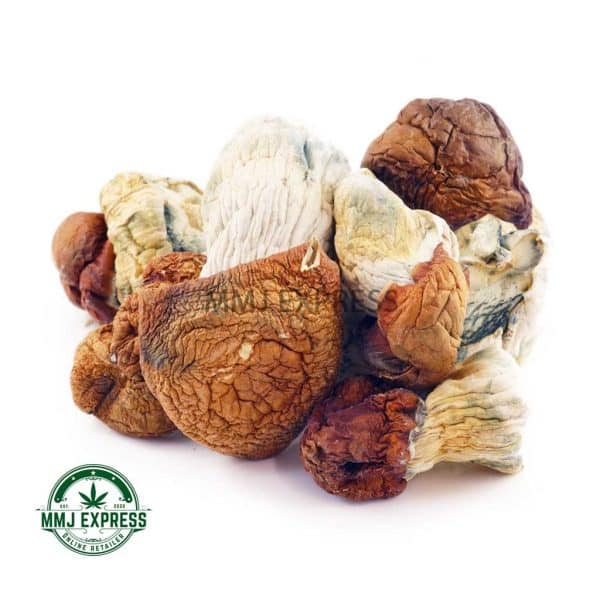 Buy Dino Egg Shrooms At MMJ Express Online Shop