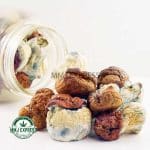 Buy Dino Egg Shrooms At MMJ Express Online Shop