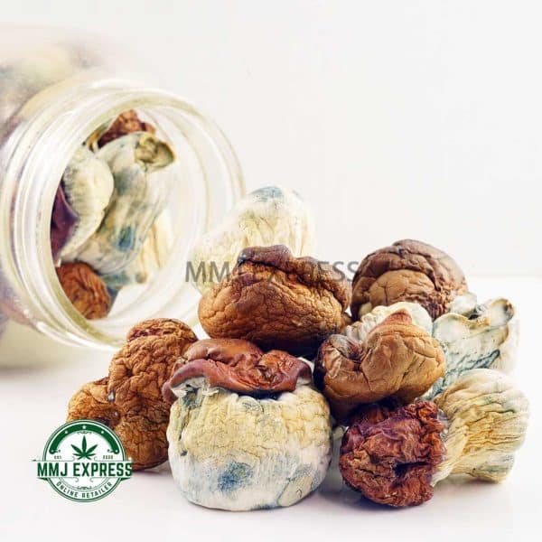 Buy Dino Egg Shrooms At MMJ Express Online Shop