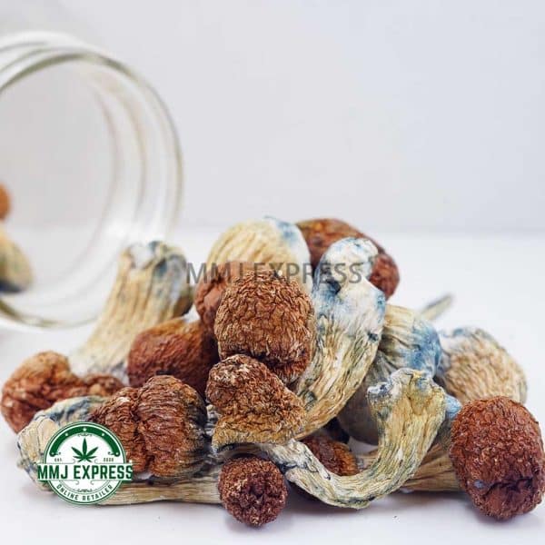 Buy Shrooms - Texas Yellow Caps at MMJ Express Online Shop