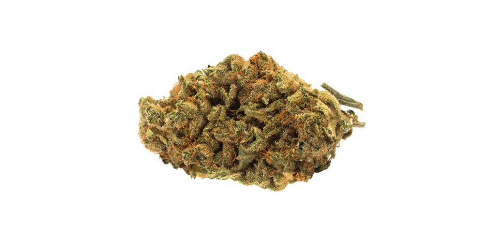 Are you looking to order weed online in Canada? Here are the top 5 indica buds at our MMJ Express, the leading Bc bud online weed dispensary.