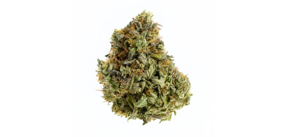 The Bruce Banner pot is a perfect tool in the medical world, helping thousands of patients manage various complications. 