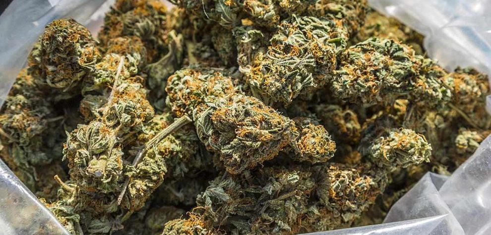 Ever wondered why most seasoned stoners shop for weed online? Well, online shopping for weed comes with lots of benefits. 