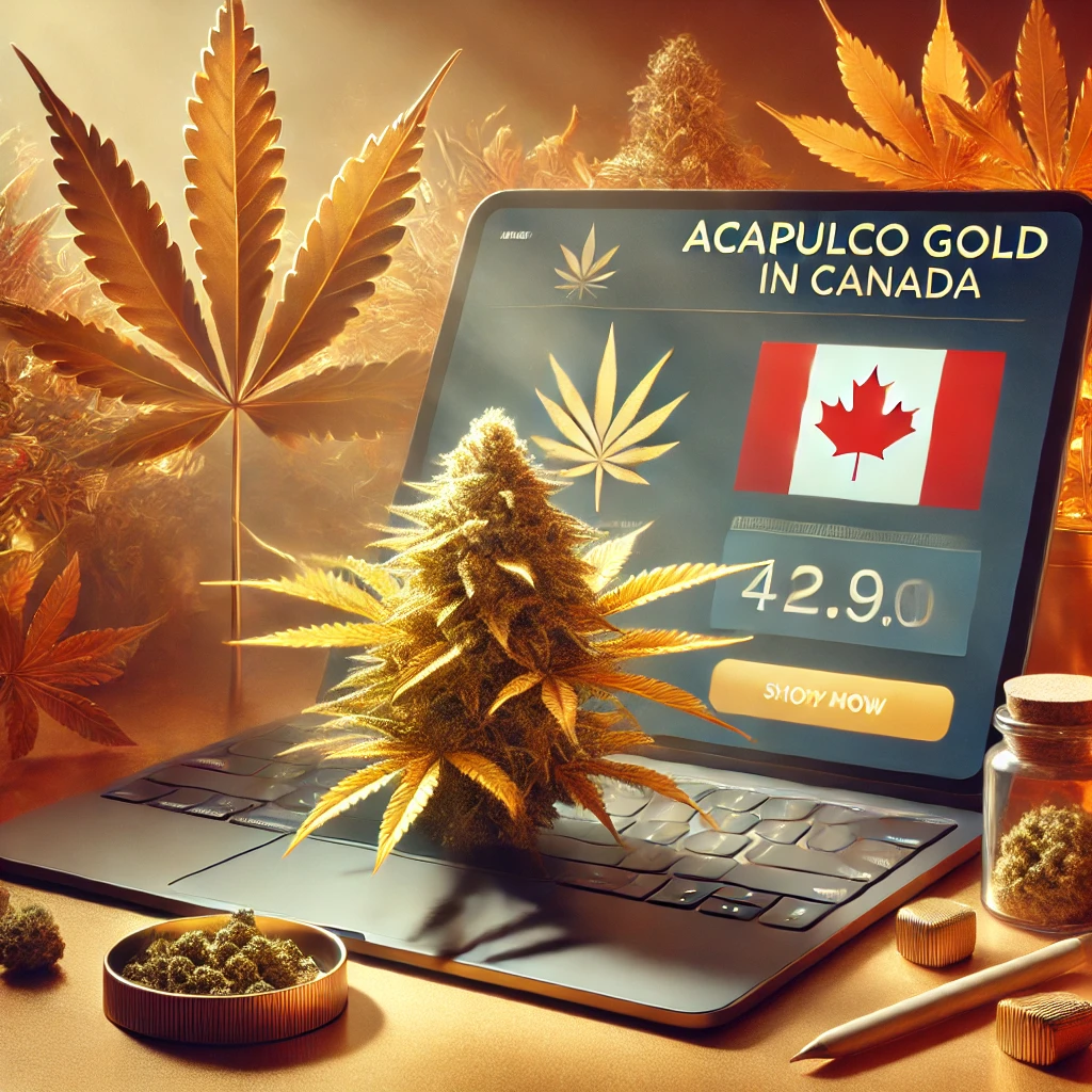 Where to Buy Authentic Acapulco Gold Strain in Canada