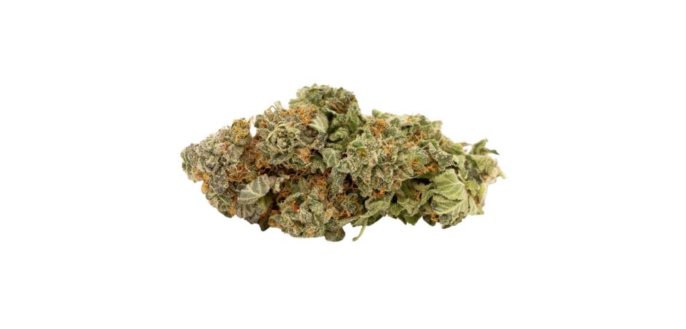 The Bruce Banner strain induces a cerebral high that makes you energetic and uplifted throughout the day. 