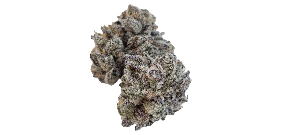 Now that you know why BC bud is the best in the world, what are some of the BC strains you should consider when you buy cannabis online at our dispensary?