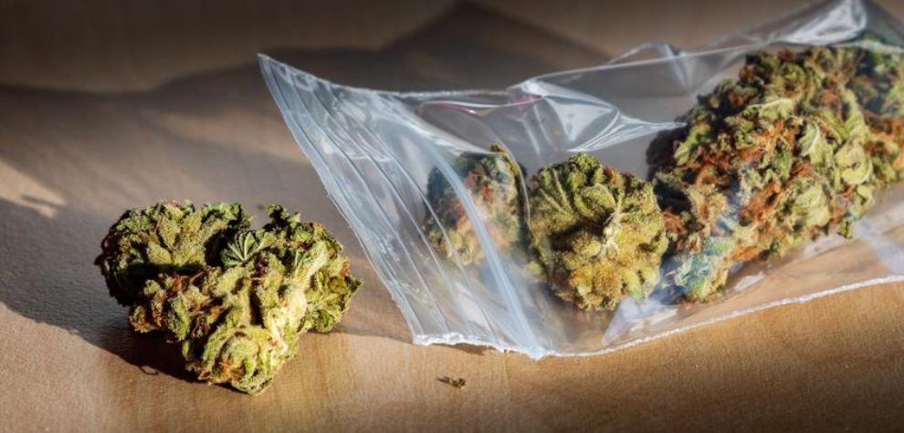 If you smoke, buying pot online in Canada is a no-brainer. Shopping from an online pot store is hands down the best way to buy weed in Canada.