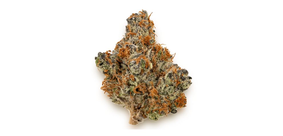 If you are looking for the best weed strains online in Canada, look no further. MMJ Express, Canada's leading online weed dispensary, has something for everyone.