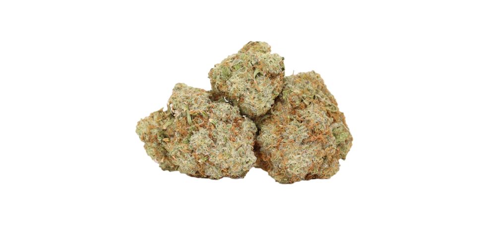 If you’d like to try the Grease Monkey strain, order weed online today. Our online dispensary in Canada will meet your needs. 