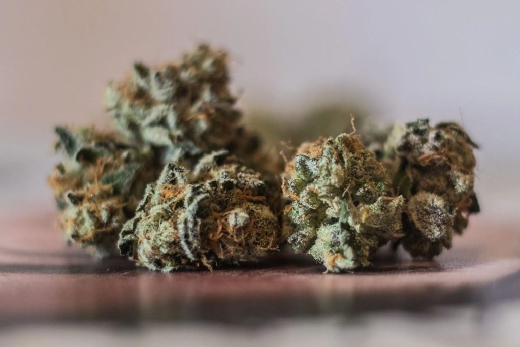 Discover the top 5 benefits of buying weed online. Learn more about the types of cannabis to get & where to buy weed online without overspending.