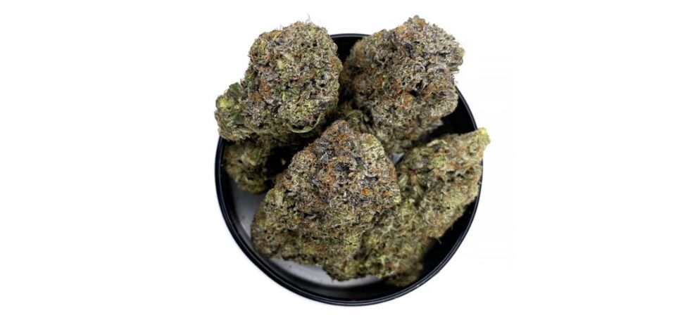 If you are looking to buy weed online seamlessly, MMJ Express is your best bet. Our dispensary is known for having a straightforward shopping process, low prices and fast shipping.