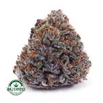 Buy Cannabis Snoop Dog OG AAA MMJ Express Online Shop