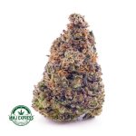 Buy Cannabis Master Jedi AAAA at MMJ Express Online Shop