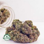 Buy Cannabis Master Jedi AAAA at MMJ Express Online Shop