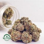 Buy Cannabis Strawberry Bomb AAA at MMJ Express Online Shop