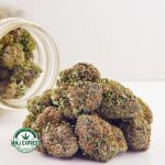 Buy Cannabis Cherry Pie AAAA at MMJ Express Online Shop