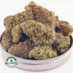 Buy Cannabis Guava Bomb AAAA at MMJ Express Online Shop