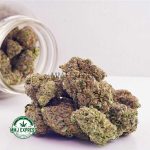 Buy Cannabis Guava Bomb AAAA at MMJ Express Online Shop