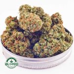 Buy Cannabis Corleone Kush AA at MMJ Express Online Shop