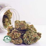 Buy Cannabis Corleone Kush AA at MMJ Express Online Shop