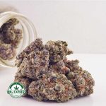 Buy Cannabis Lemon Berry AAAA at MMJ Express Online Shop