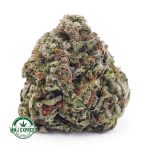 Buy Cannabis Super Lemon Haze AA at MMJ Express Online Shop