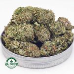 Buy Cannabis Super Lemon Haze AA at MMJ Express Online Shop