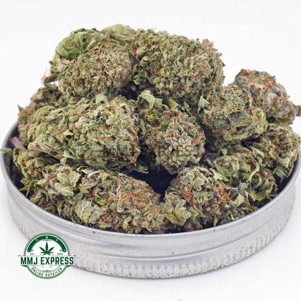 Buy Cannabis Super Lemon Haze AA at MMJ Express Online Shop