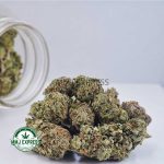 Buy Cannabis Super Lemon Haze AA at MMJ Express Online Shop