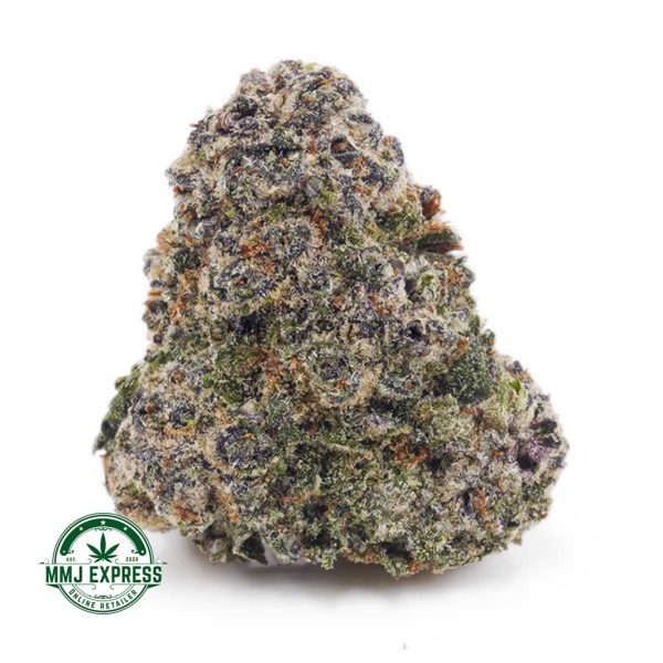 Buy Cannabis Bubble Gum Kush AAAA at MMJ Express Online Shop