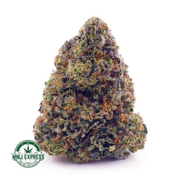 Buy Cannabis Astro Pink AAA at MMJ Express Online Shop