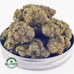 Buy Cannabis Astro Pink AAA at MMJ Express Online Shop