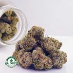 Buy Cannabis Astro Pink AAA at MMJ Express Online Shop