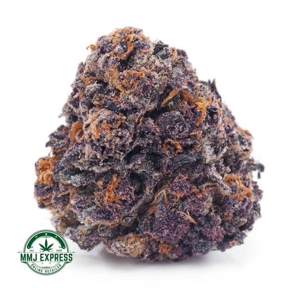 Buy Cannabis Purple Urkle AA at MMJ Express Online Shop