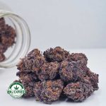 Buy Cannabis Purple Urkle AA at MMJ Express Online Shop